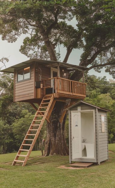 Outhouse Bathroom Ideas